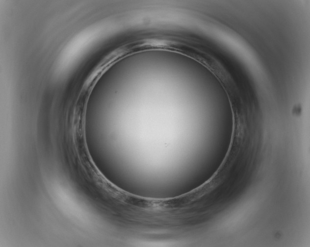 X0000113121052200909111135