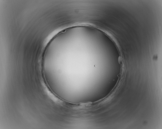 X0000113121054200909111135