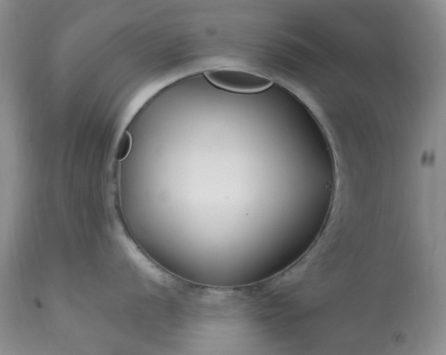 X0000113121056200909111135