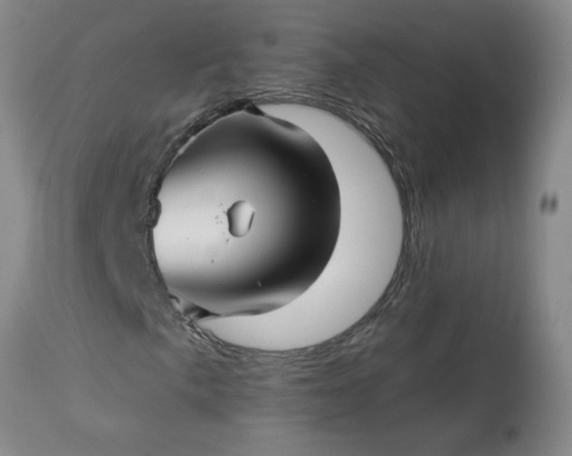 X0000113121057200909111134