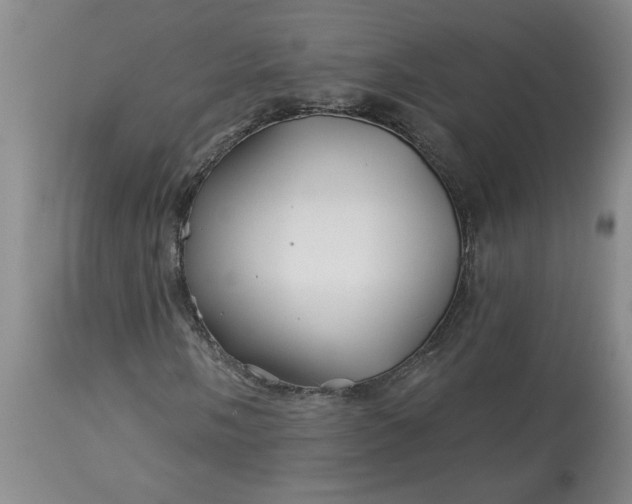 X0000113121058200909111134