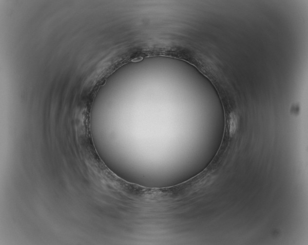 X0000113121059200909111134