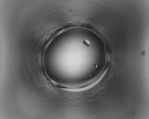 X0000113121060200909111134