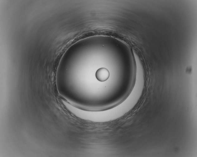 X0000113121061200909111134