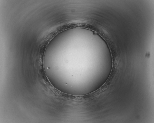 X0000113121062200909111134