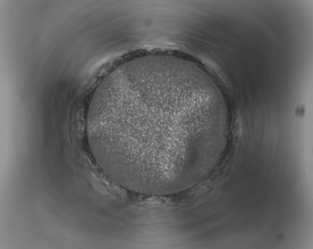 X0000113121063200909111134