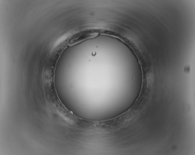 X0000113121064200909111134