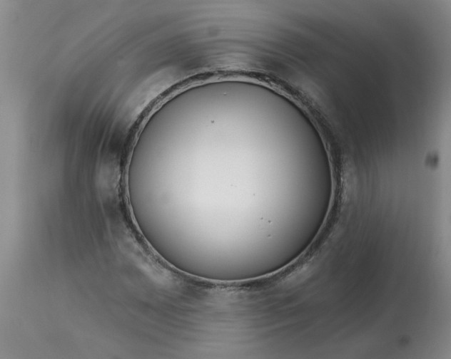 X0000113121065200909111134