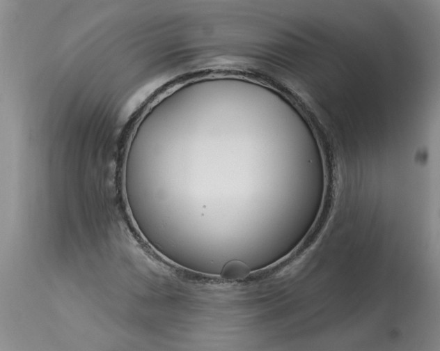 X0000113121066200909111134