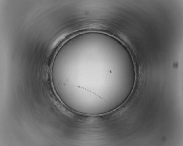 X0000113121067200909111134