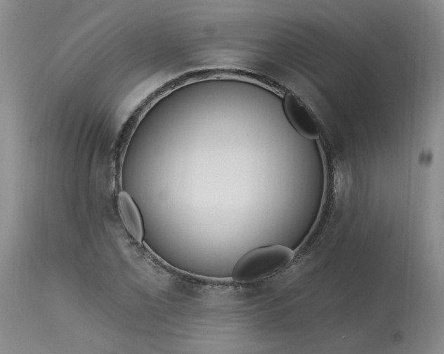 X0000113121069200909111134