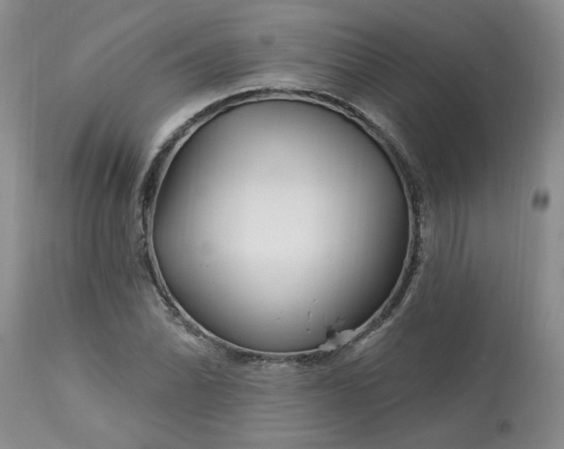 X0000113121070200909111134