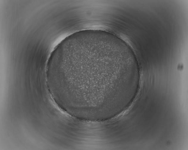 X0000113121071200909111134