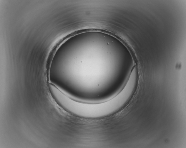 X0000113121072200909111134