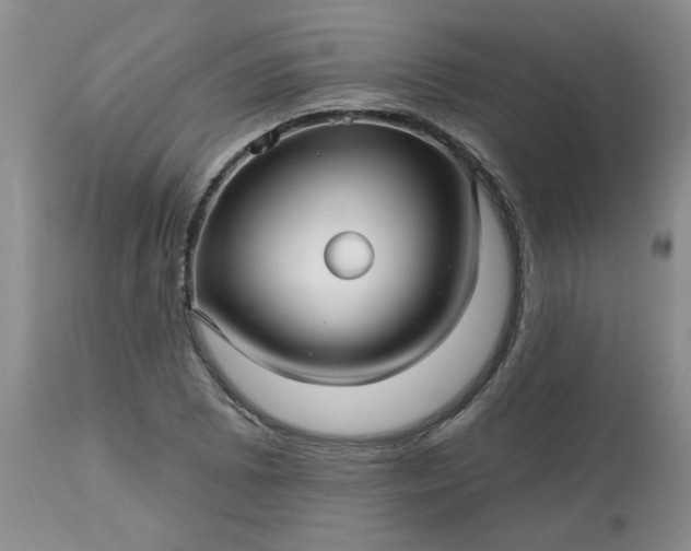 X0000113121073200909111134