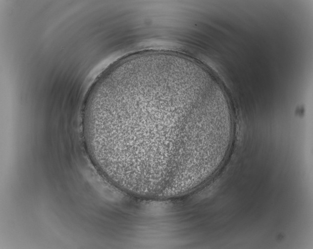 X0000113121074200909111134