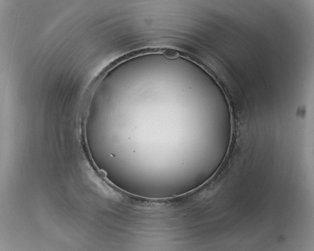 X0000113121076200909111134