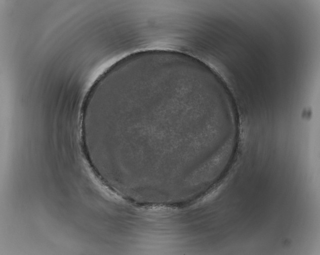 X0000113121077200909111134