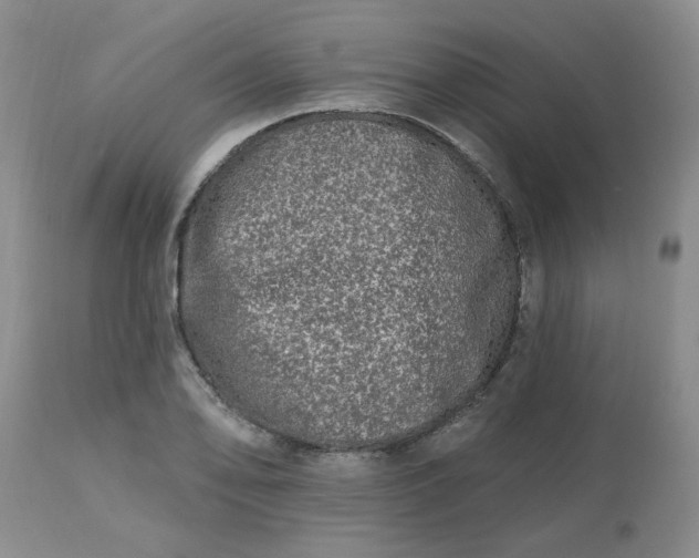 X0000113121078200909111134