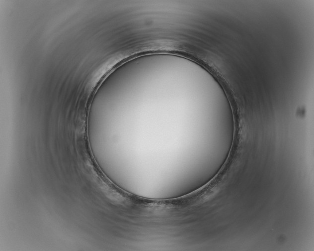 X0000113121081200909111134