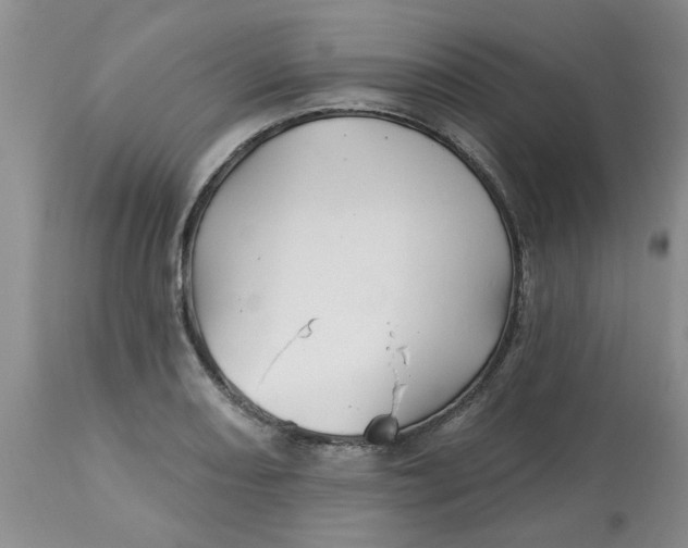 X0000113121082200909111134