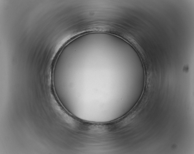 X0000113121083200909111134