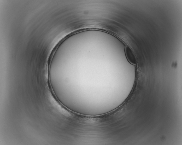 X0000113121084200909111134