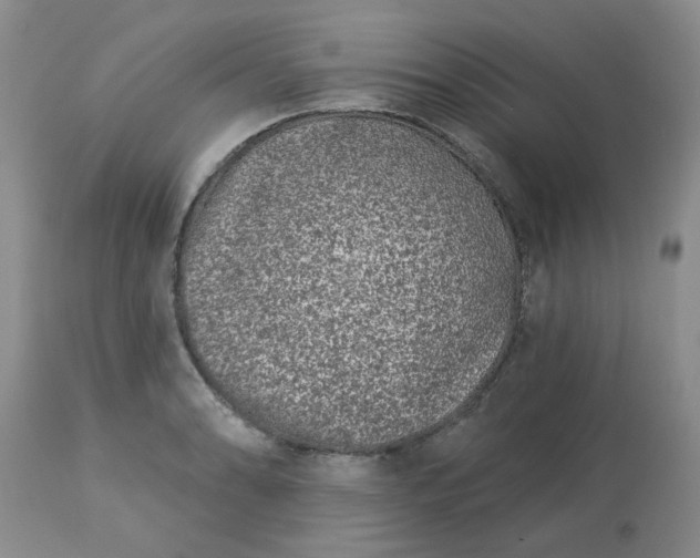 X0000113121086200909111134