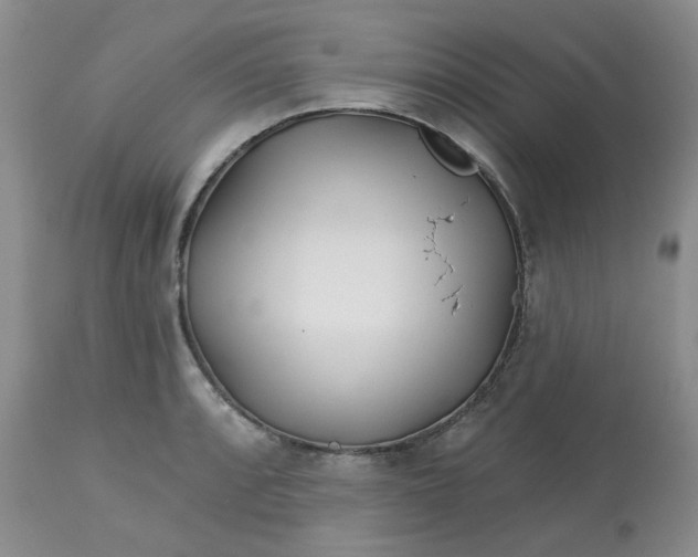 X0000113121088200909111133