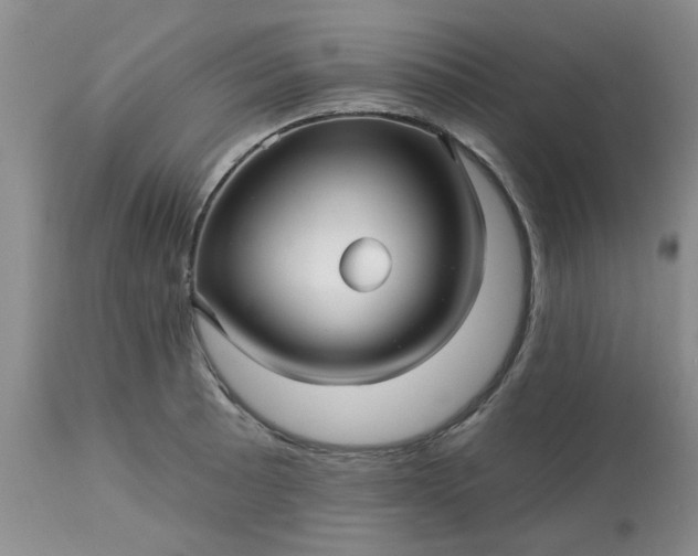 X0000113121089200909111133