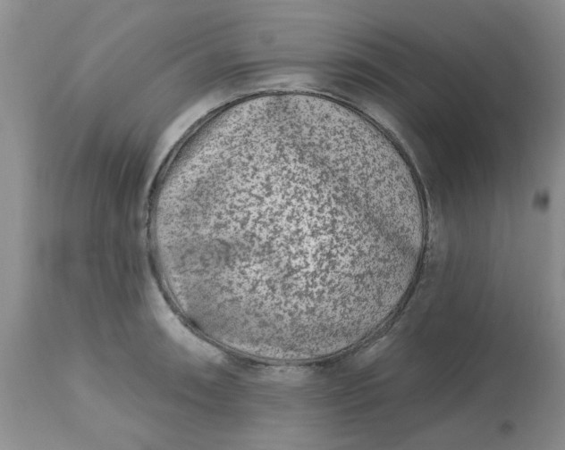 X0000113121090200909111133