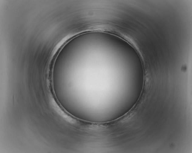 X0000113121091200909111133