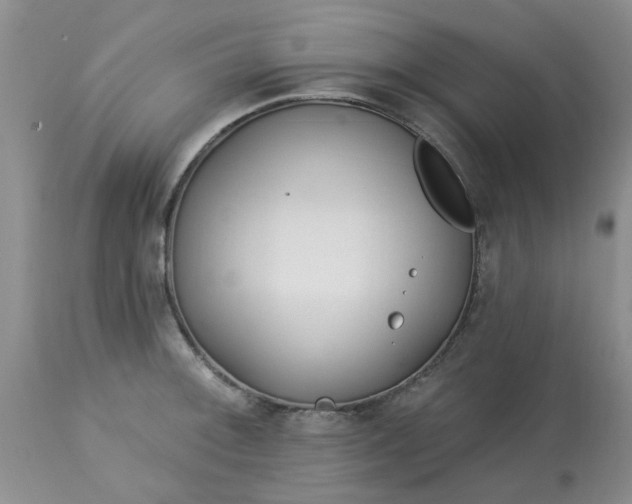 X0000113121092200909111133