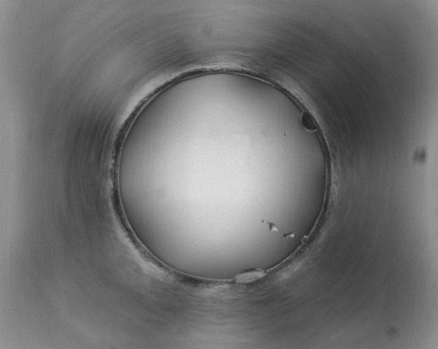 X0000113121093200909111133