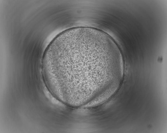 X0000113121094200909111133