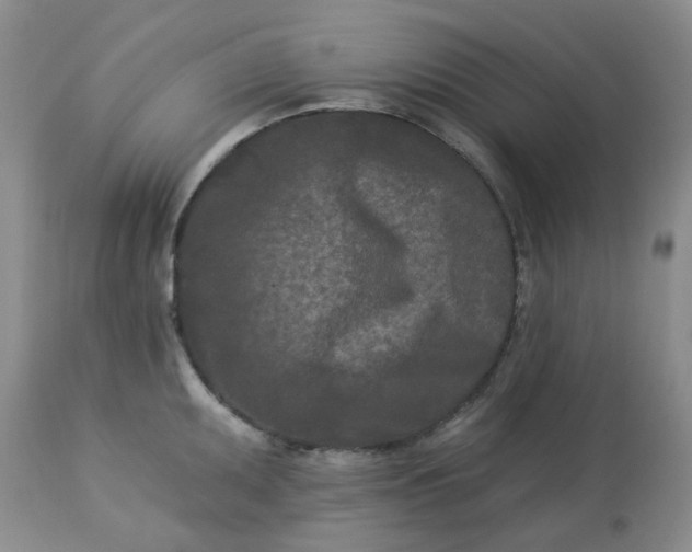 X0000113121095200909111133