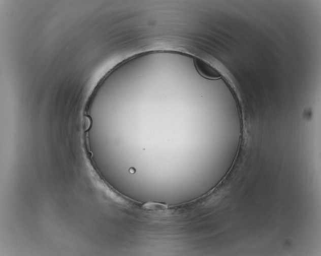 X0000113121096200909111133