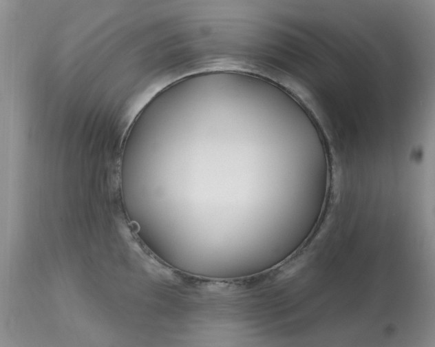 X0000113121097200909111133