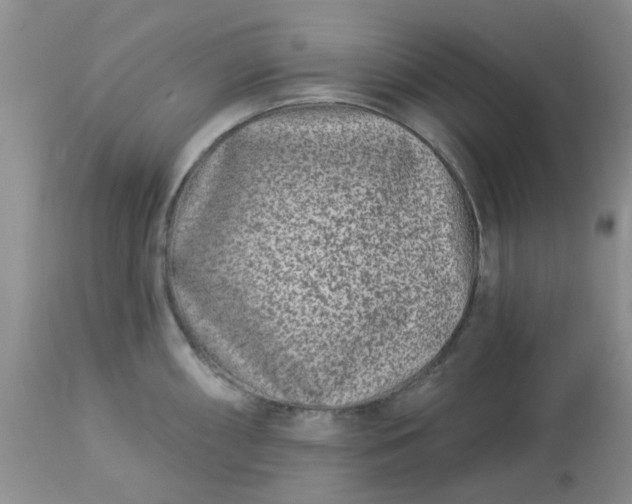 X0000113121098200909111133