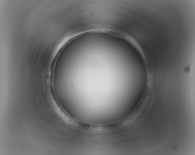 X0000113121099200909111133