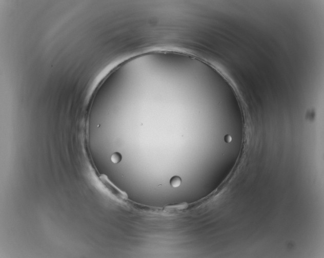 X0000113121100200909111133