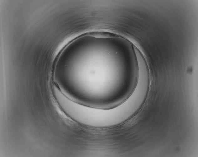 X0000113121101200909111133