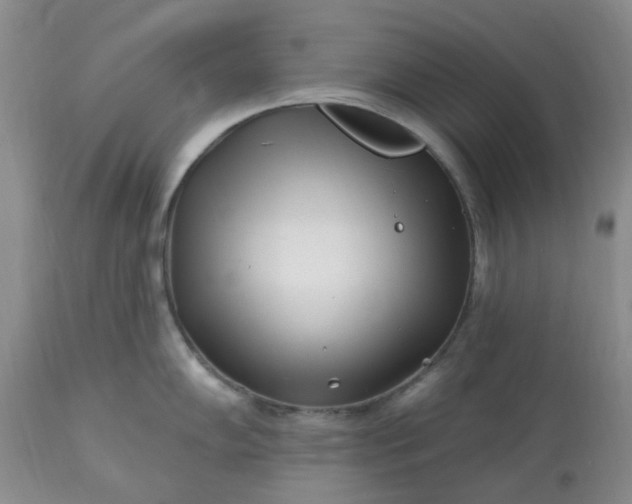 X0000113121102200909111133