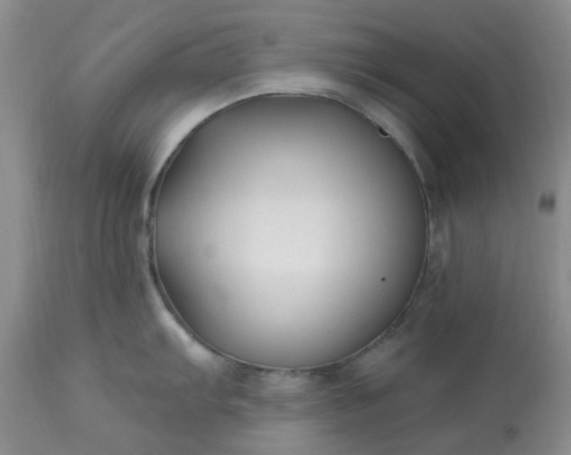 X0000113121103200909111133