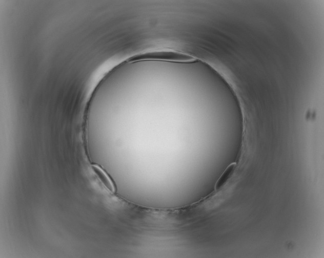 X0000113121104200909111133