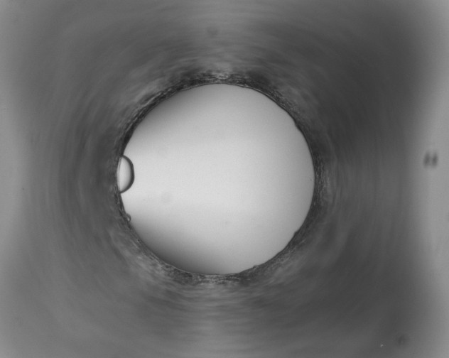 X0000113121105200909111132