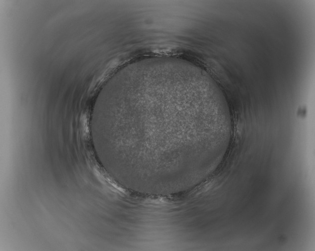 X0000113121106200909111132