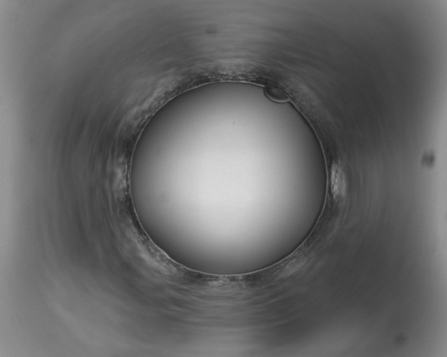 X0000113121107200909111132