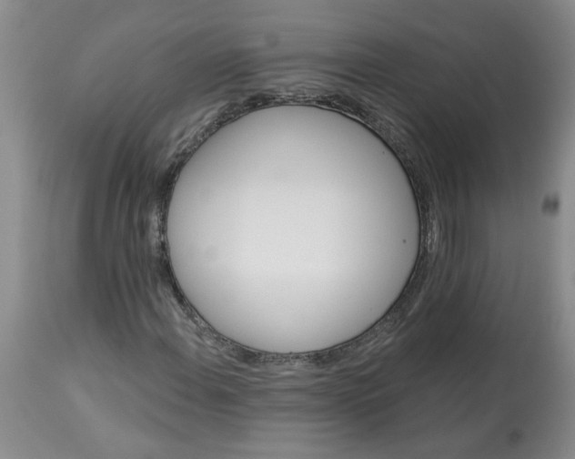 X0000113121108200909111132