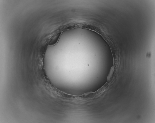 X0000113121109200909111132